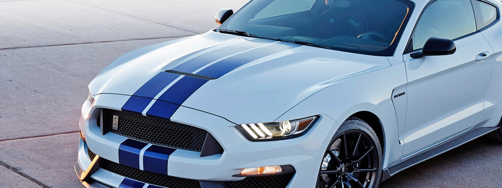 Paint and clear coat finishes — United Auto Body Inc.
